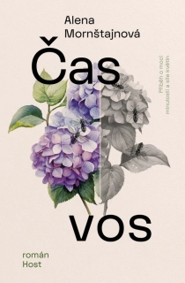 ČAS VOS